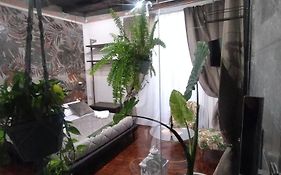 Plebiscito Suite Apartment